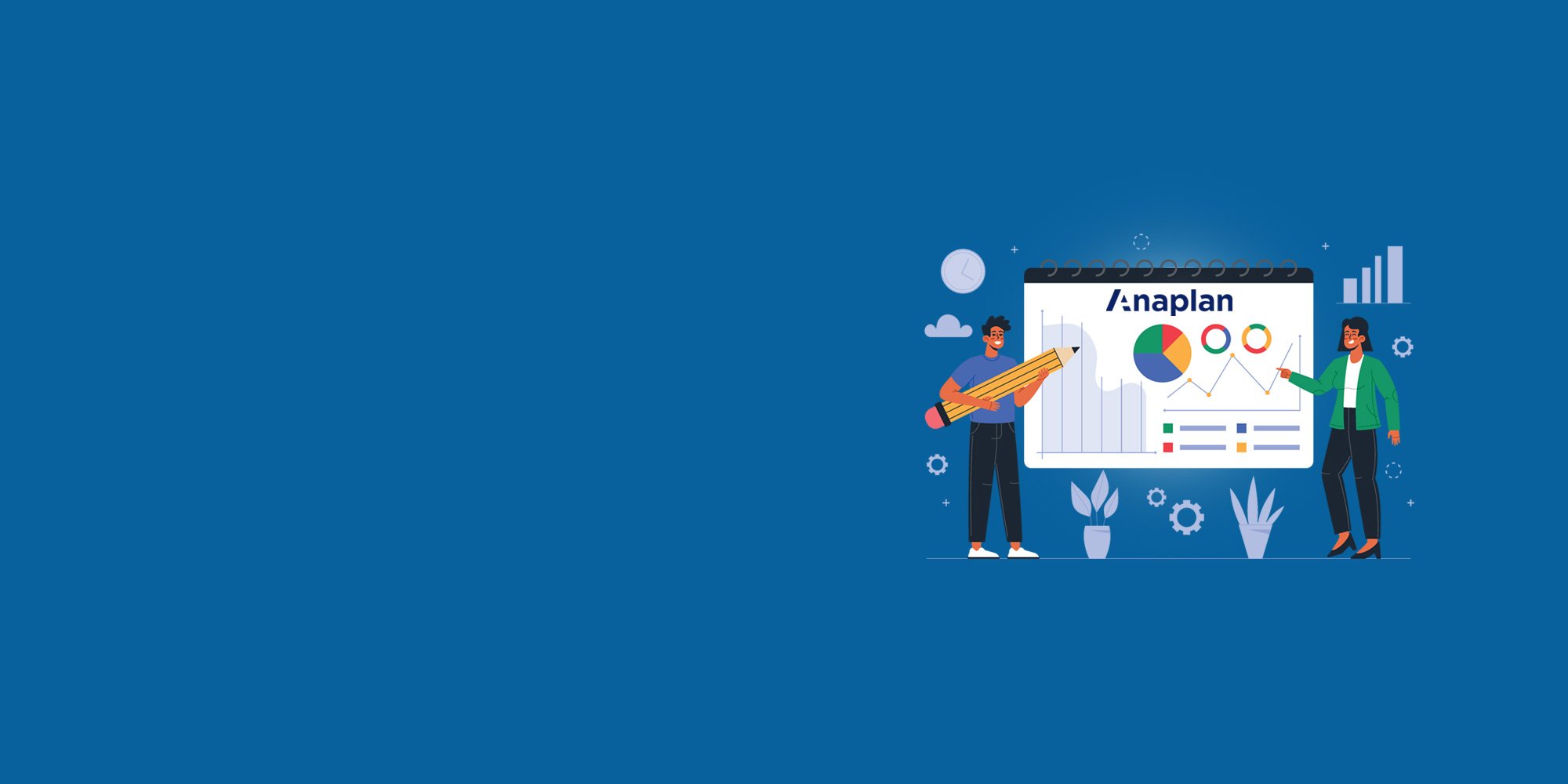 Anaplan Services